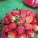 점암농장 이미지