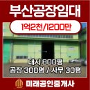 강서구-80 이미지