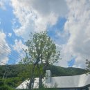 상현목장 이미지