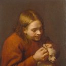 강아지는내친구 이미지