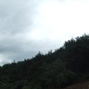 경남114부동산중개 이미지