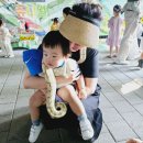 시립영통자이어린이집 | 시립행복어린이집 광교 이의동 이수진 원장선생님 어린이집 후기 얼집 후기