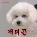 에이포
