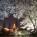 계명대학교 성서캠퍼스행소박물관 이미지