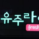 유주라이크 이미지