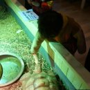 약수골캠프촌 오토캠핑장 이미지