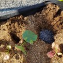 기로(여)경로당 이미지