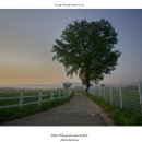 안성목장 이미지