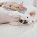 두식농장 이미지