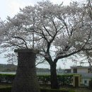 보령중학교 이미지