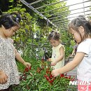 자양3동주민센터 이미지