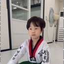 푸른경희대태권도체육관 이미지