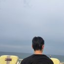 낙산 바다 섭국