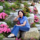 삼산1리 이미지