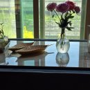 강진산들농원 이미지