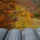 용지천 이미지