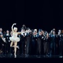 국립오페라단<라 트라비아타> 이미지