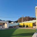 퍼스펫 애견펜션 | [경주] 애견펜션 퍼스펫 202호 후기