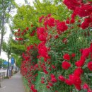 우리소리 이미지