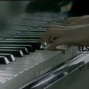 엘시