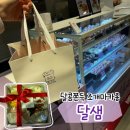 달콤스토어 - 중구 보문산로35번길 38 | 수원 팝업스토어 달샘마카롱ㅣ달콤쫀득 조개마카롱 후기