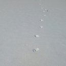 시골정취 이미지