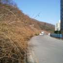 [광주 서구] 봄기운이 감도는 금당산(304m) 다녀오기(2012/3/25/일) 이미지