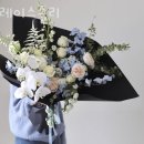 그레이스졸리