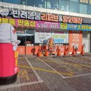 이츠펫 | 금곡동 애견용품 이츠펫 남양주금곡점 위치.가격.시간.후기