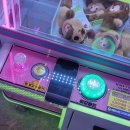 스타게임장 이미지