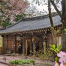 정관루-(주)남이섬 네이버블로그
