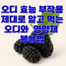 DNJ | 오디 효능부터 부작용까지, 제대로 알고 먹는 오디 영양제 복용법