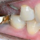 숲&나무치과의원 이미지