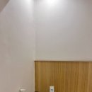 스테이509