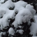 마당바위황토민박 이미지