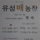 유성농장 5농장 이미지