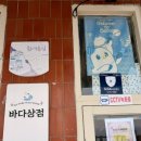 바다마을 | 부산 영도데이트 흰여울마을 소품샵 바다상점 내돈내산 후기