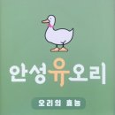 안성유오리
