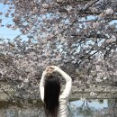 타미데님롯데광주 | 와이드팬츠추천 타미와이드팬츠 클레어 하이 와이드 데님 팬츠 T32FONEW32TWT11AB 실착용 후기