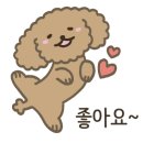 꽃집;오늘도로맨틱