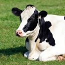 종국농장 이미지