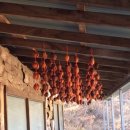 황금을따는마을 이미지