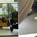 도그미뇽 이미지