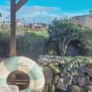 토브앤카라 이미지