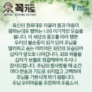 콩깍지 이미지