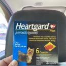 하트펫동물병원 이미지