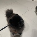 즐거운짜장 이미지