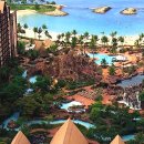 호텔하와이 이미지