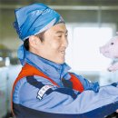 도고양돈 이미지