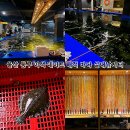 해적바다실내낚시터 이미지
